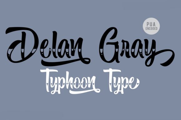 Delan Gray: A Stylish Script Handwritten Font for Campaign Visuals