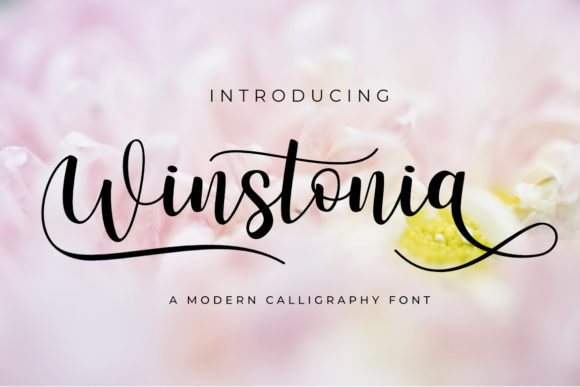 Winstonia: A Script Handwritten Font for Warm, Human-Centered Design